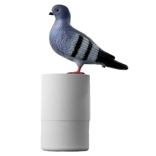 grey pigeon on a round white bottle soap dispensor