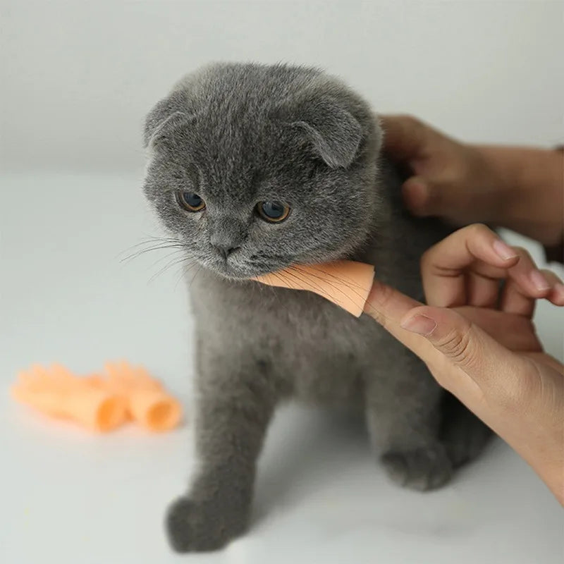 Hilarious Mini Finger Hands Puppets - Get Your Tiny Hand Joke On!